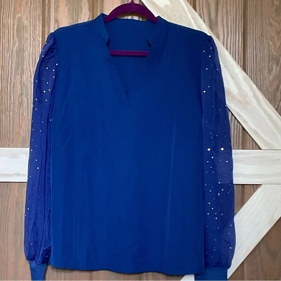 Elegant Pink OR Blue Blouse with Sheer Sparkly Sleeves. SIZES vary - Picture 4 of 9